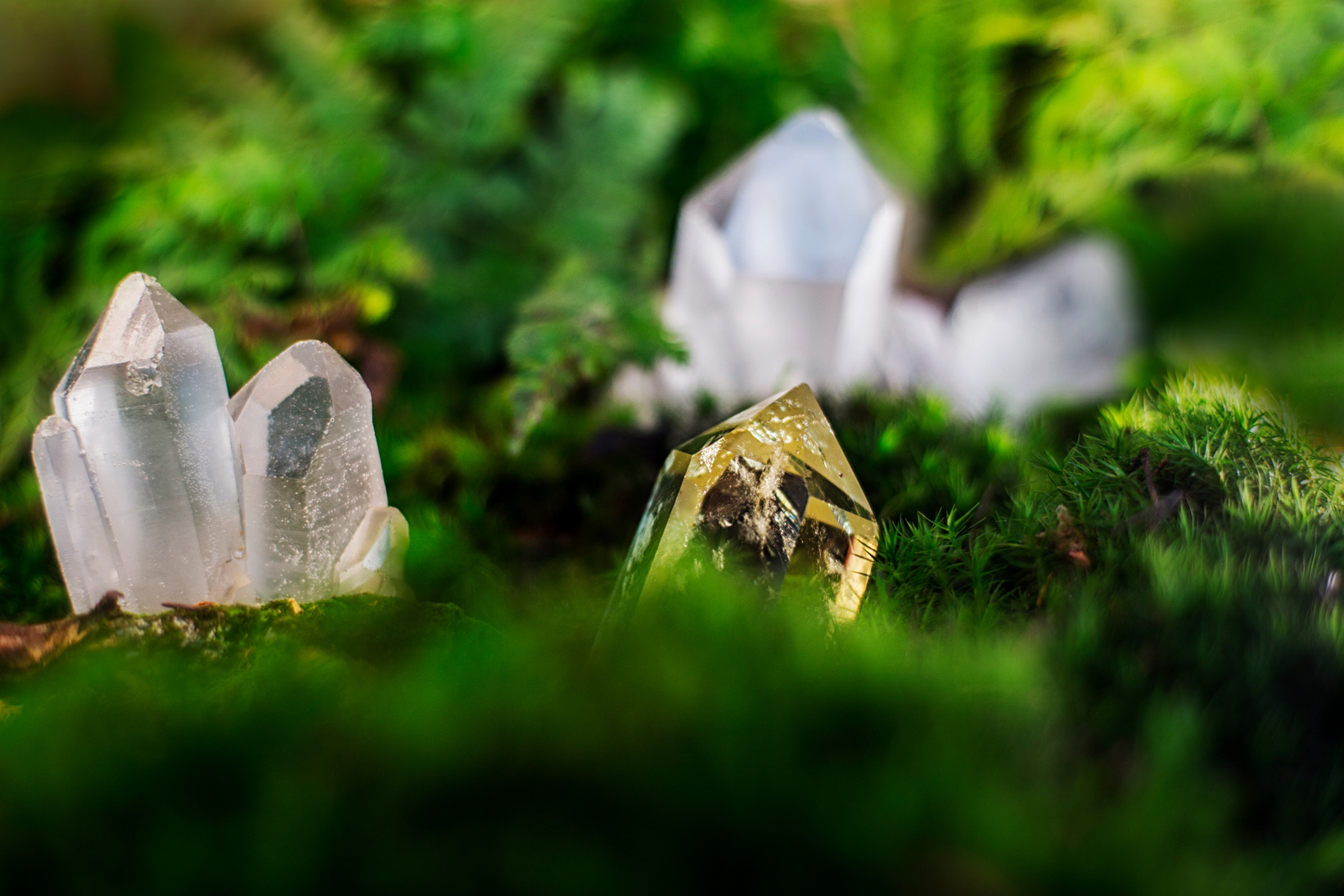Crystals lying on moss