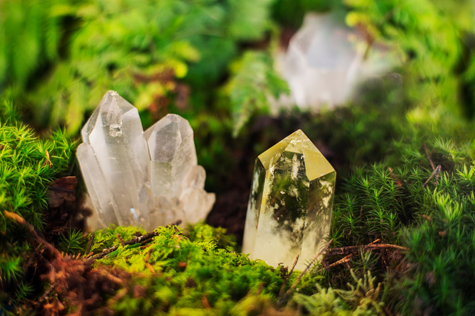 Crystals lying on moss